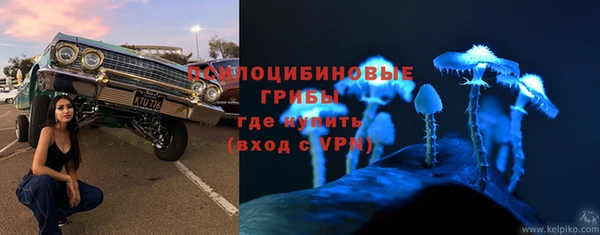 гидра Тында