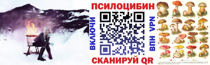 Галлюциногенные грибы мухоморы Западная Двина